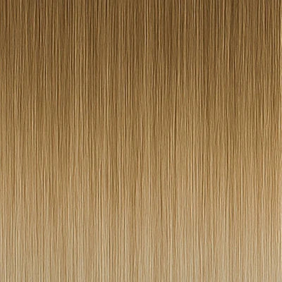 Extensions à trame - #11/1001 Balayage