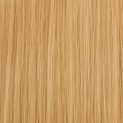 Ponytail - #12 Blond foncé